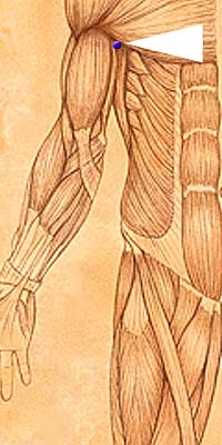 HE1 . Ji Quan