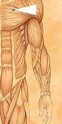 ST15 . Wu Yi