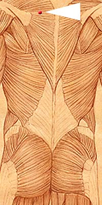BL41 . Fu Fen